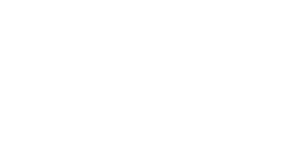 zoom optics