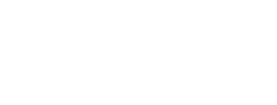 zoom optics